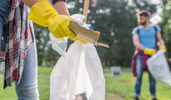 yard_waste_removal_600x350
